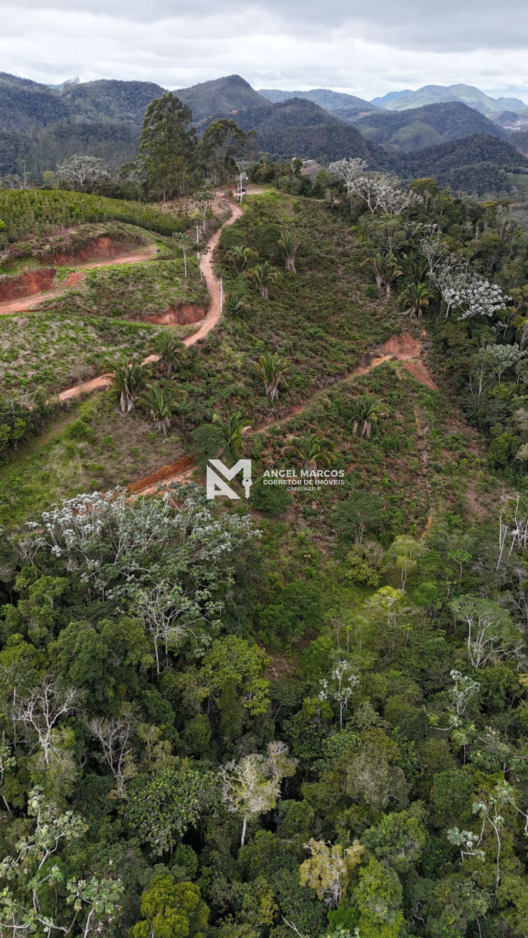 Imagem 6 da propriedade